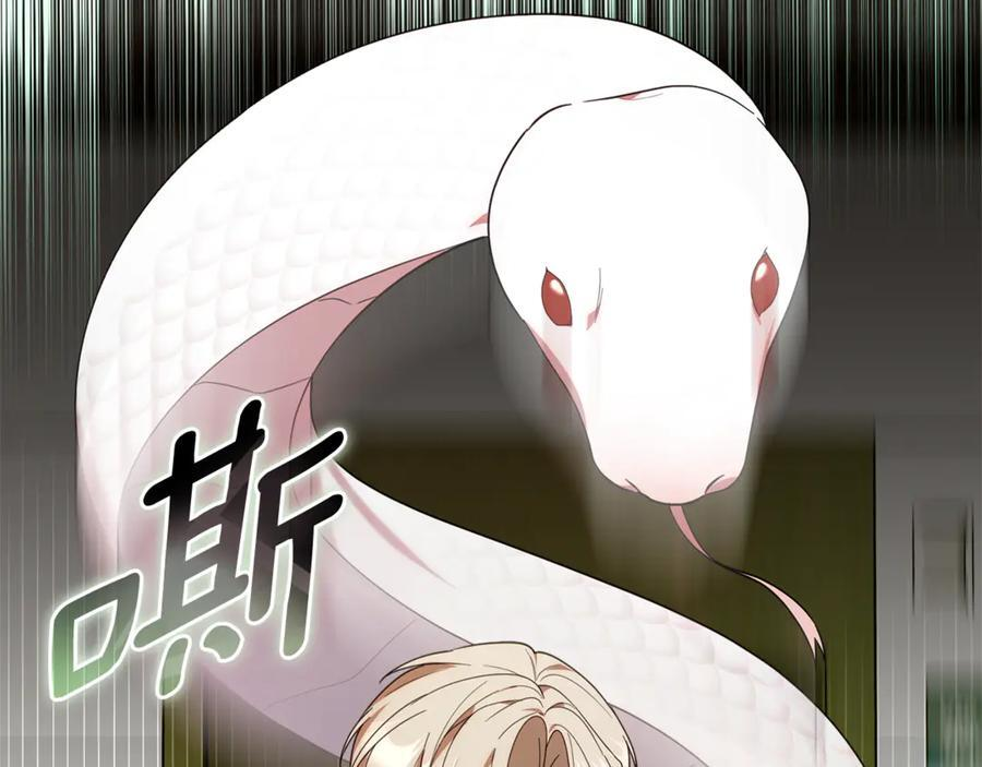 第25话 中意的实验对象 第211页