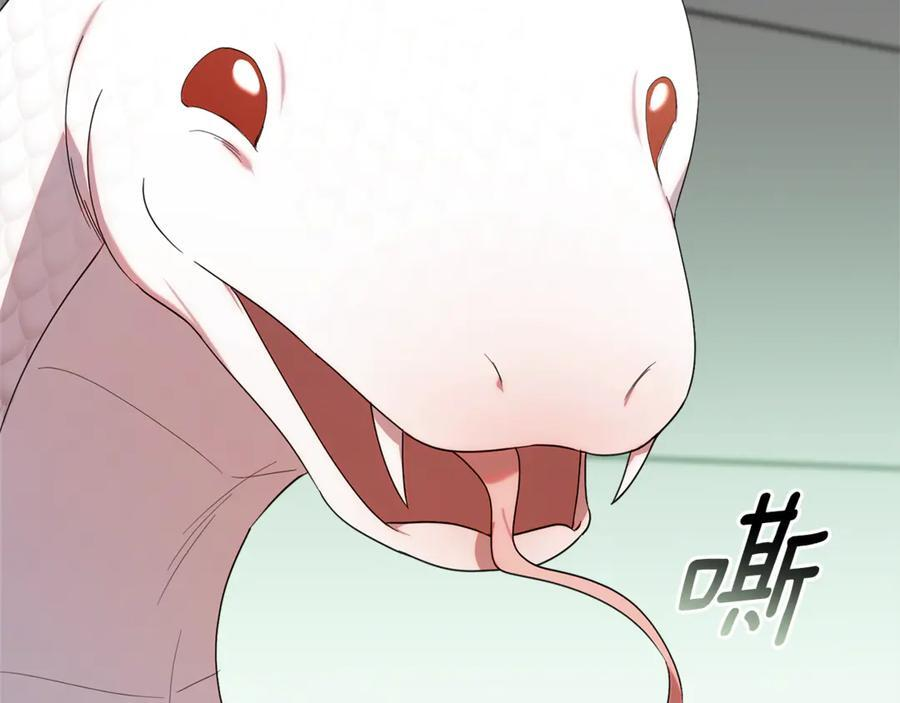 第25话 中意的实验对象 第215页