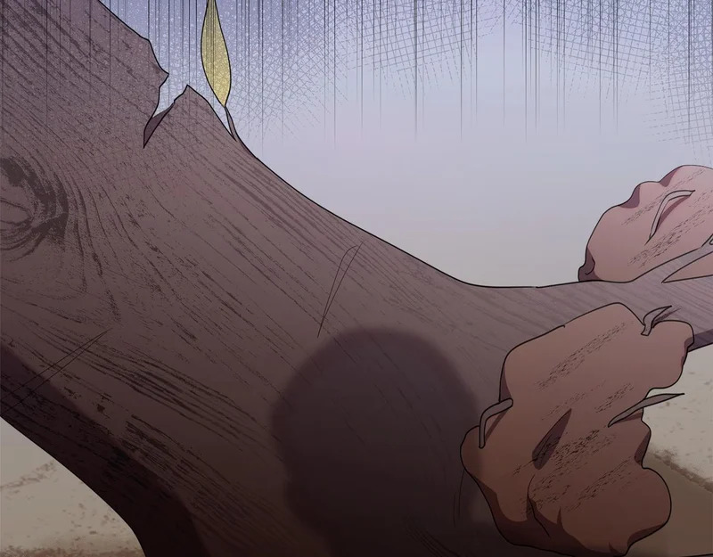 第53话 谎言 第151页