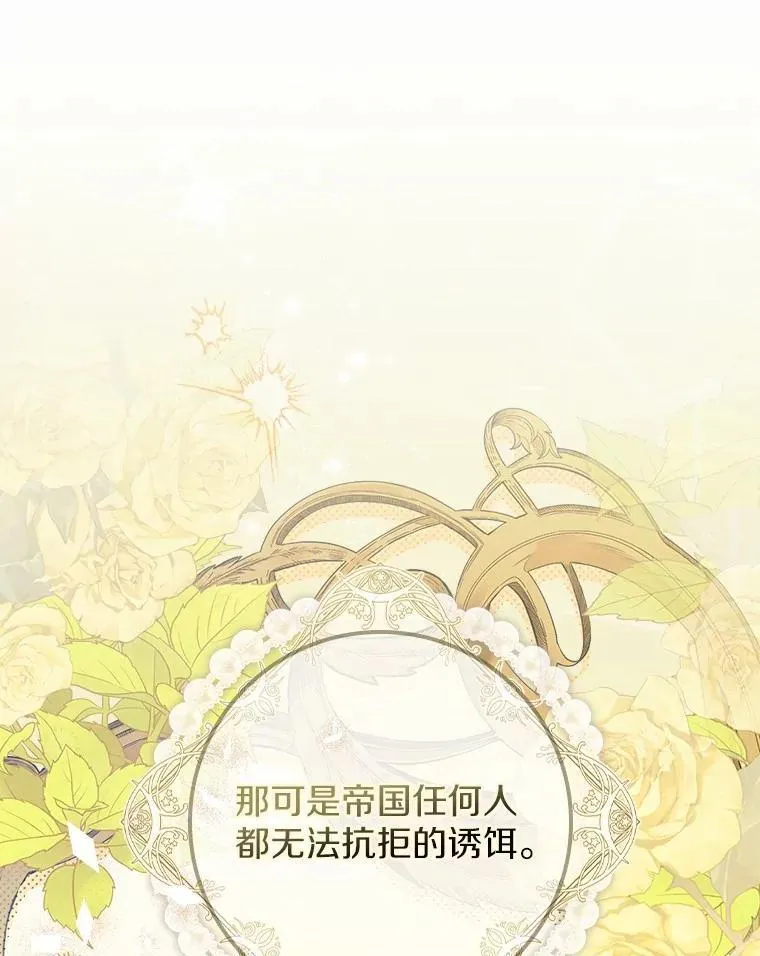 28.预赛开始 第3页