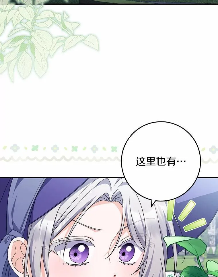 29.分歧 第3页