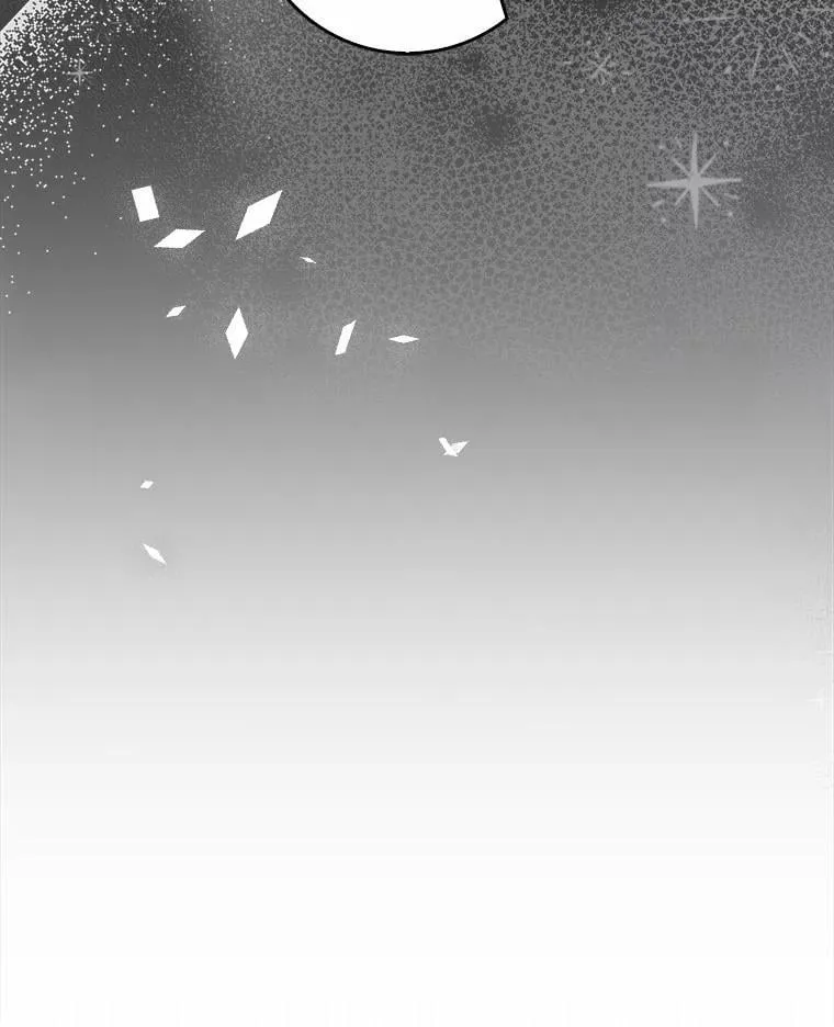 31.最终获胜者 第27页