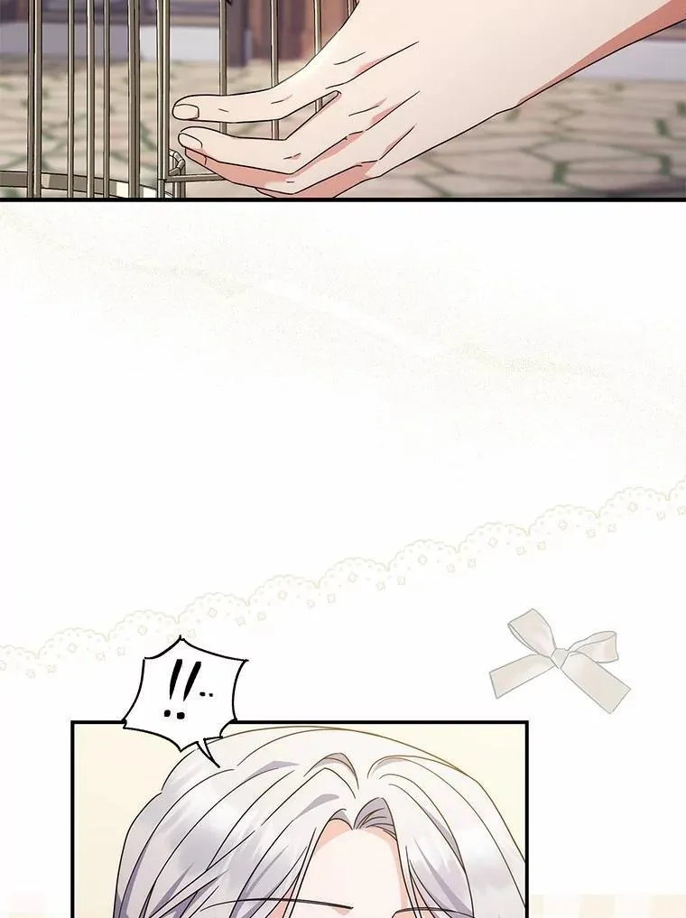 36.同意离婚 第42页