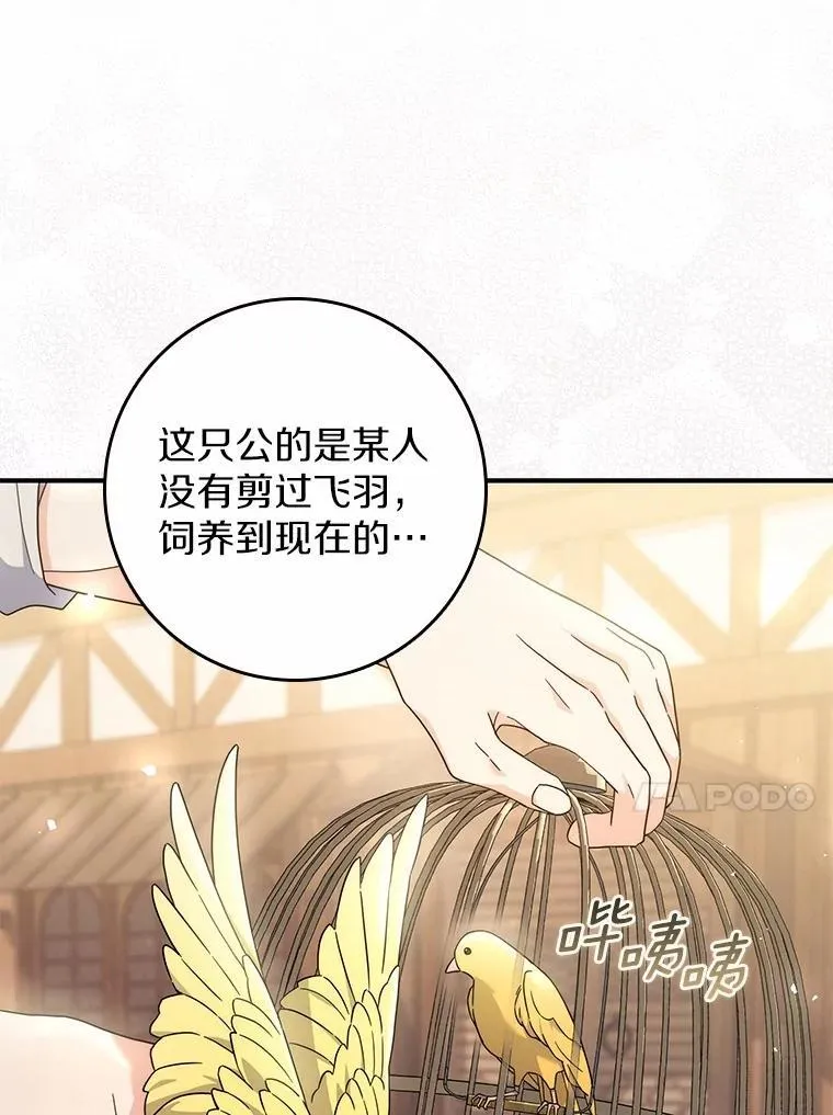 36.同意离婚 第46页