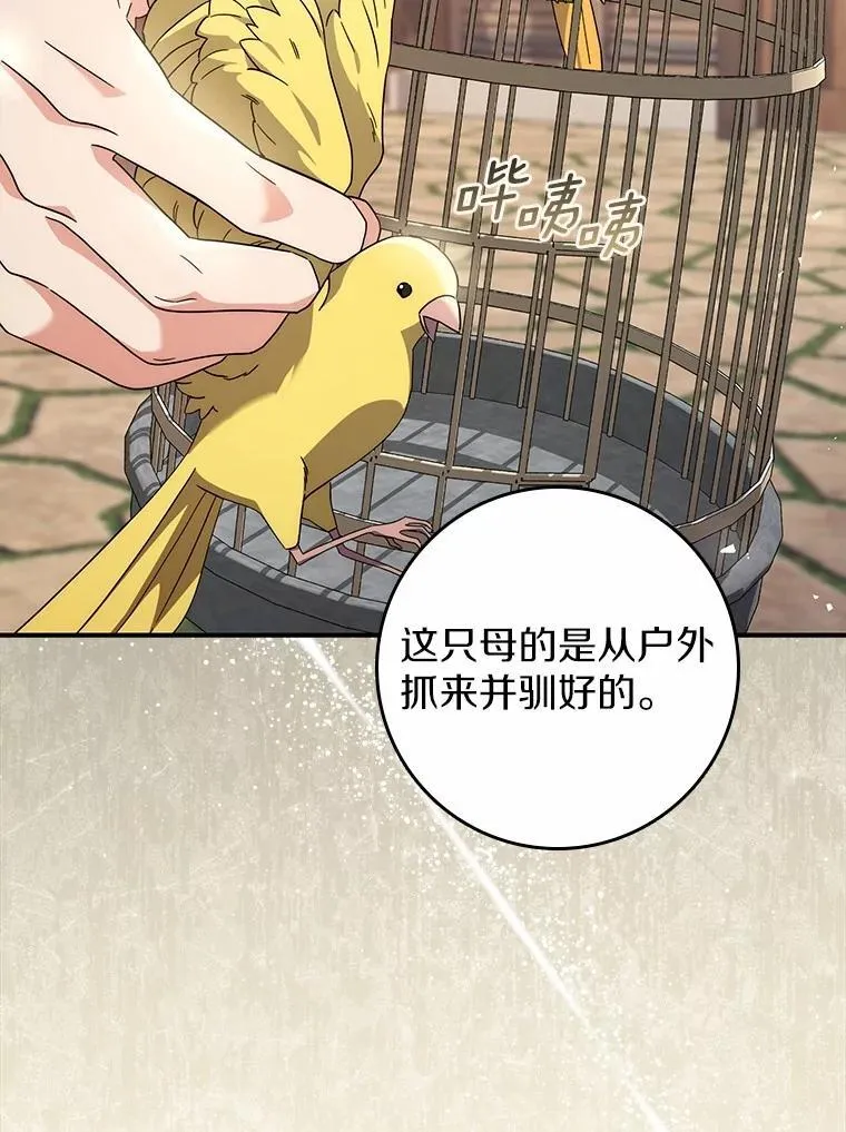 36.同意离婚 第47页