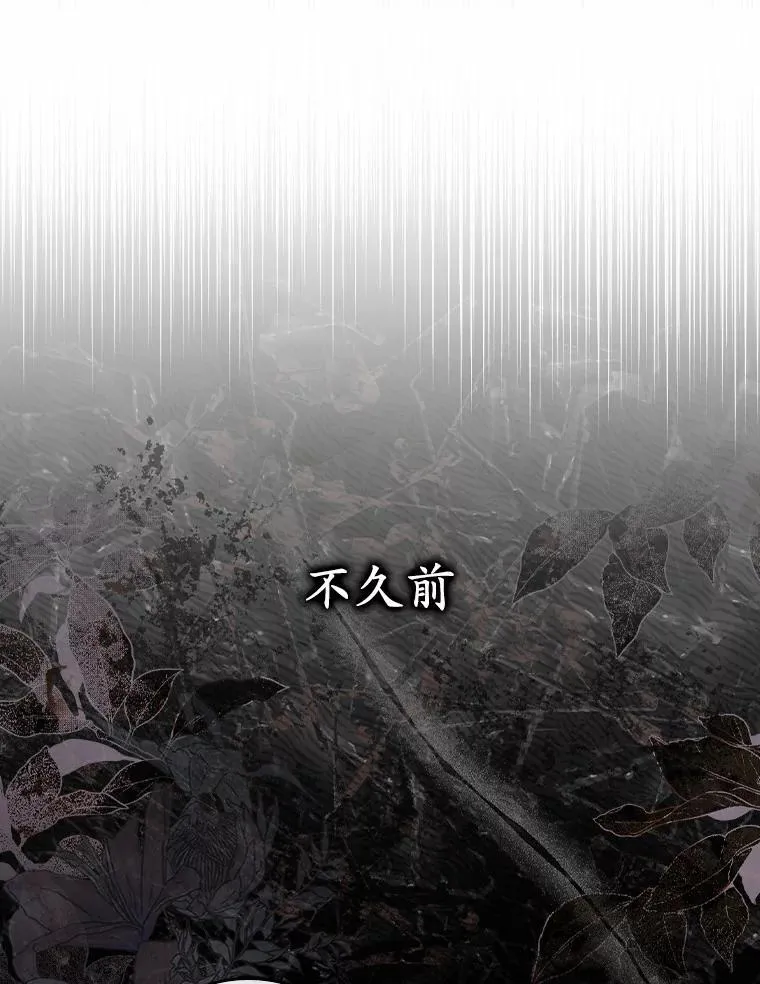 40.从没有爱过你 第14页