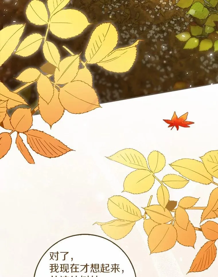 46.真实身份 第47页