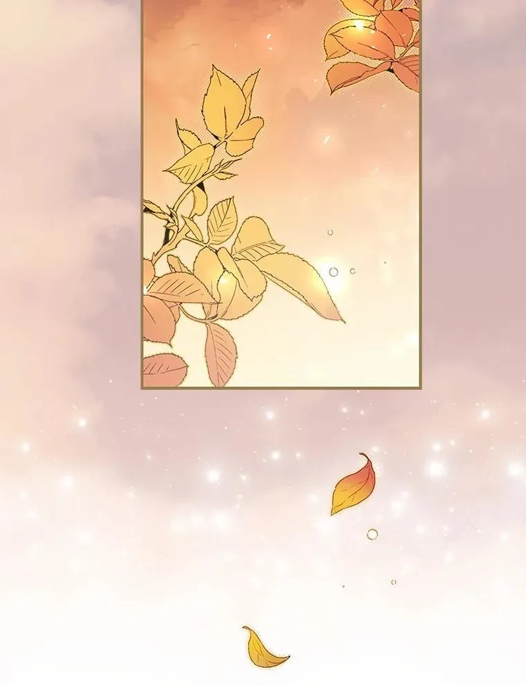 47.玫瑰花香 第63页