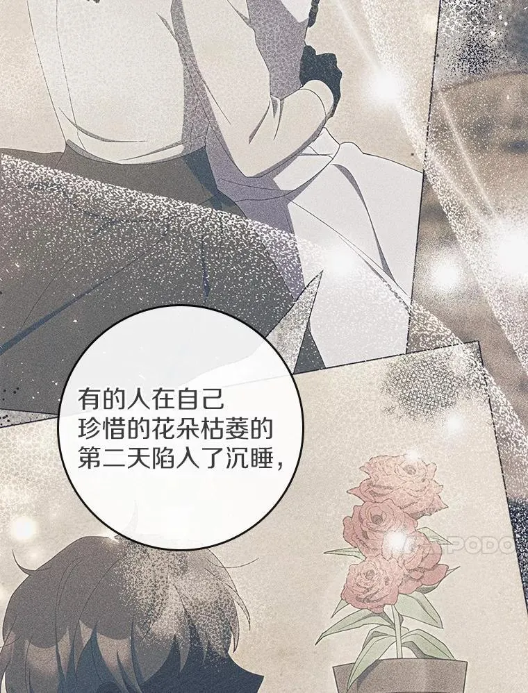 51.记忆中的苹果派 第108页