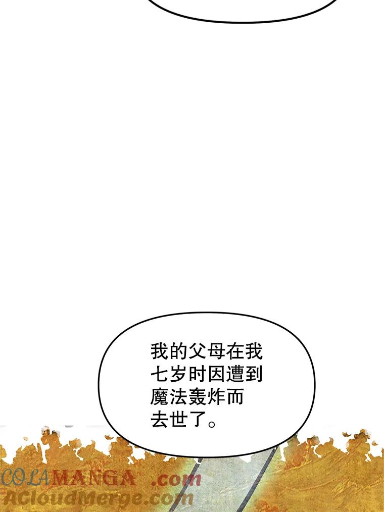 4.普昂商团 第29页
