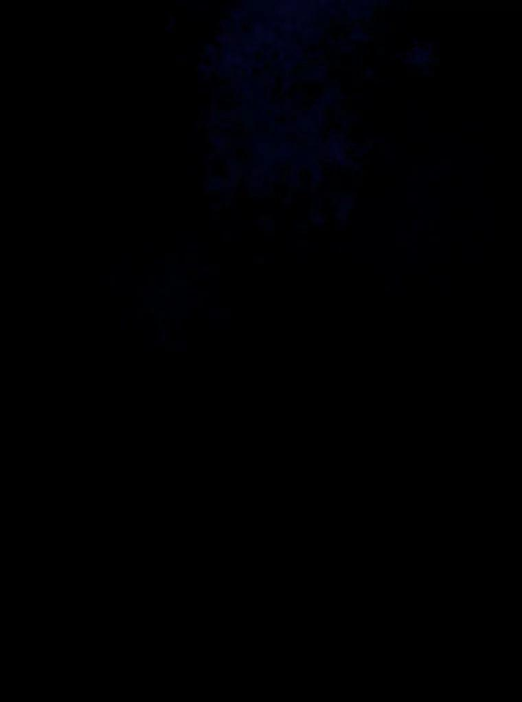 11.皇宫宴会 第28页