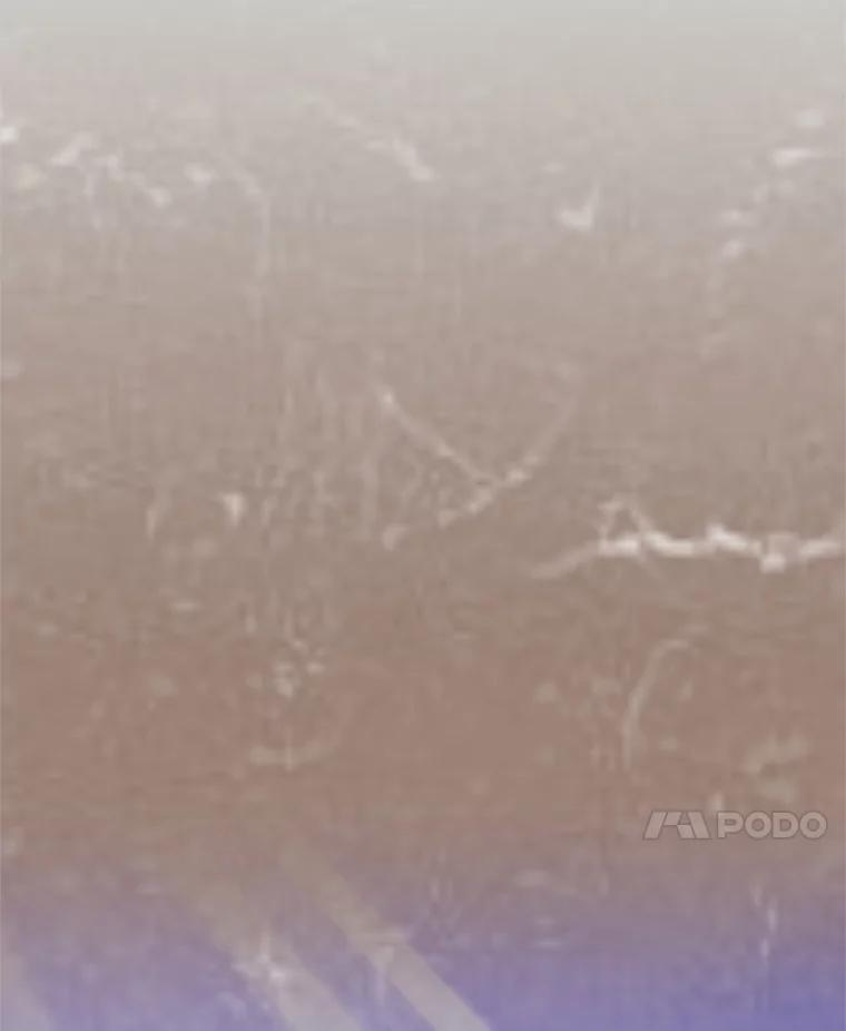 22.塞洛夫讨伐队 第130页