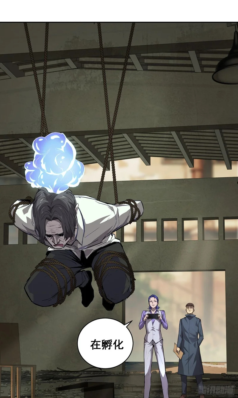 028 直播 第29页