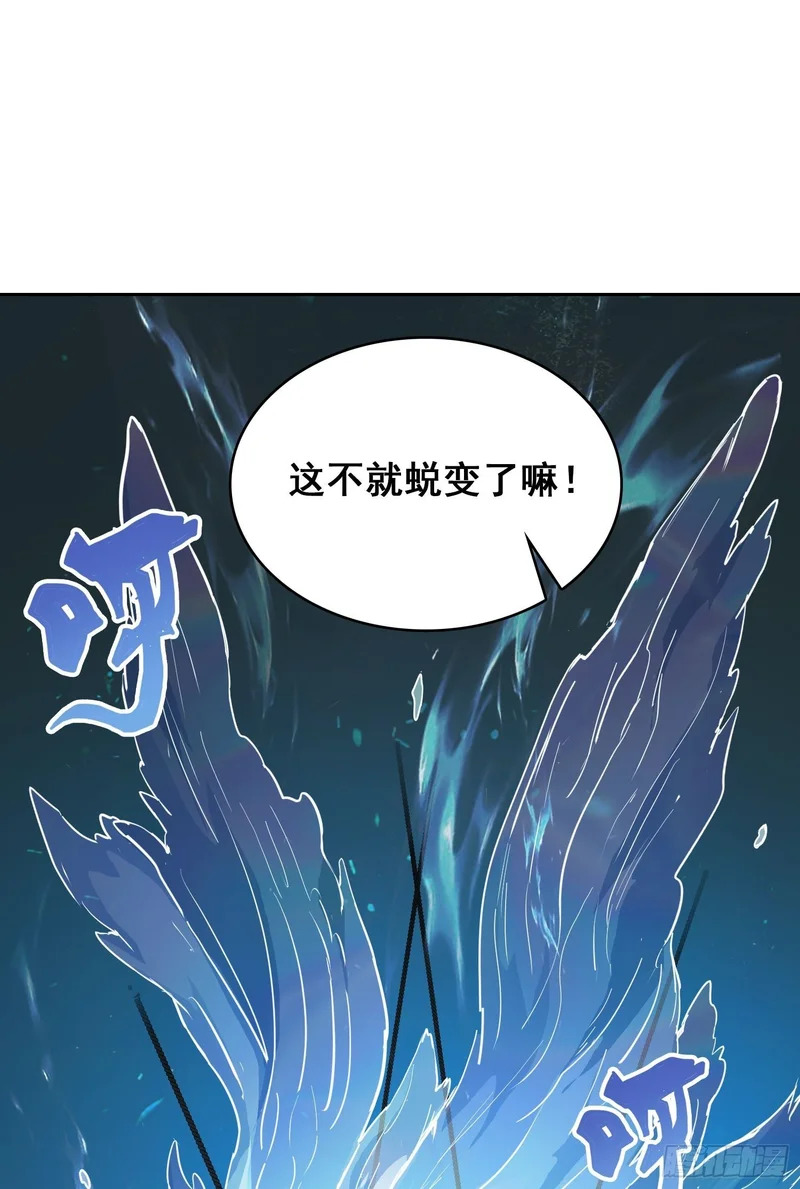 028 直播 第41页