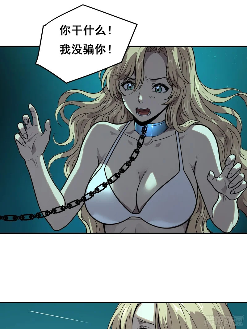 048 奖励 第16页