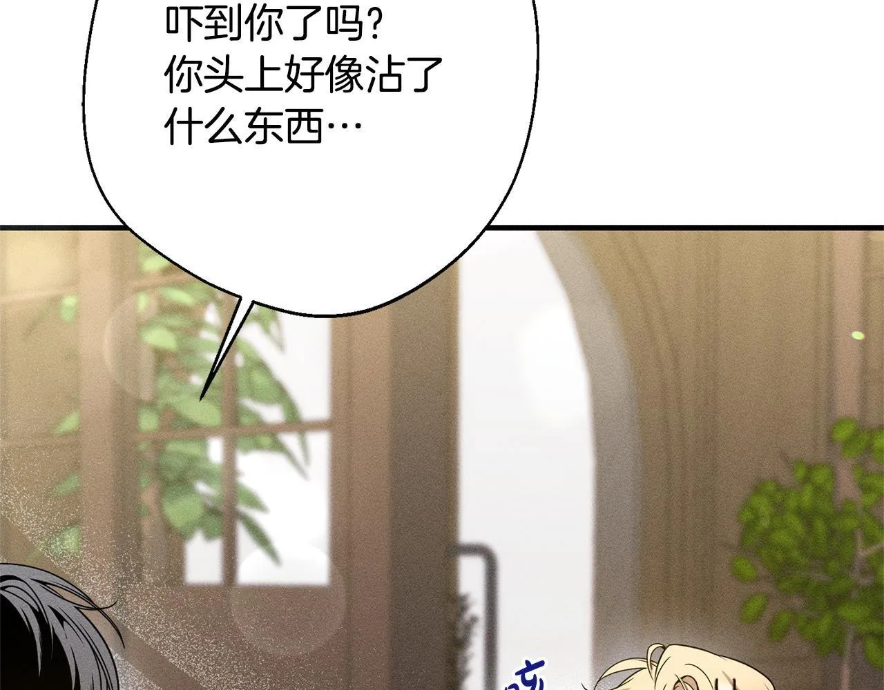 第6话 结婚宣言 第184页