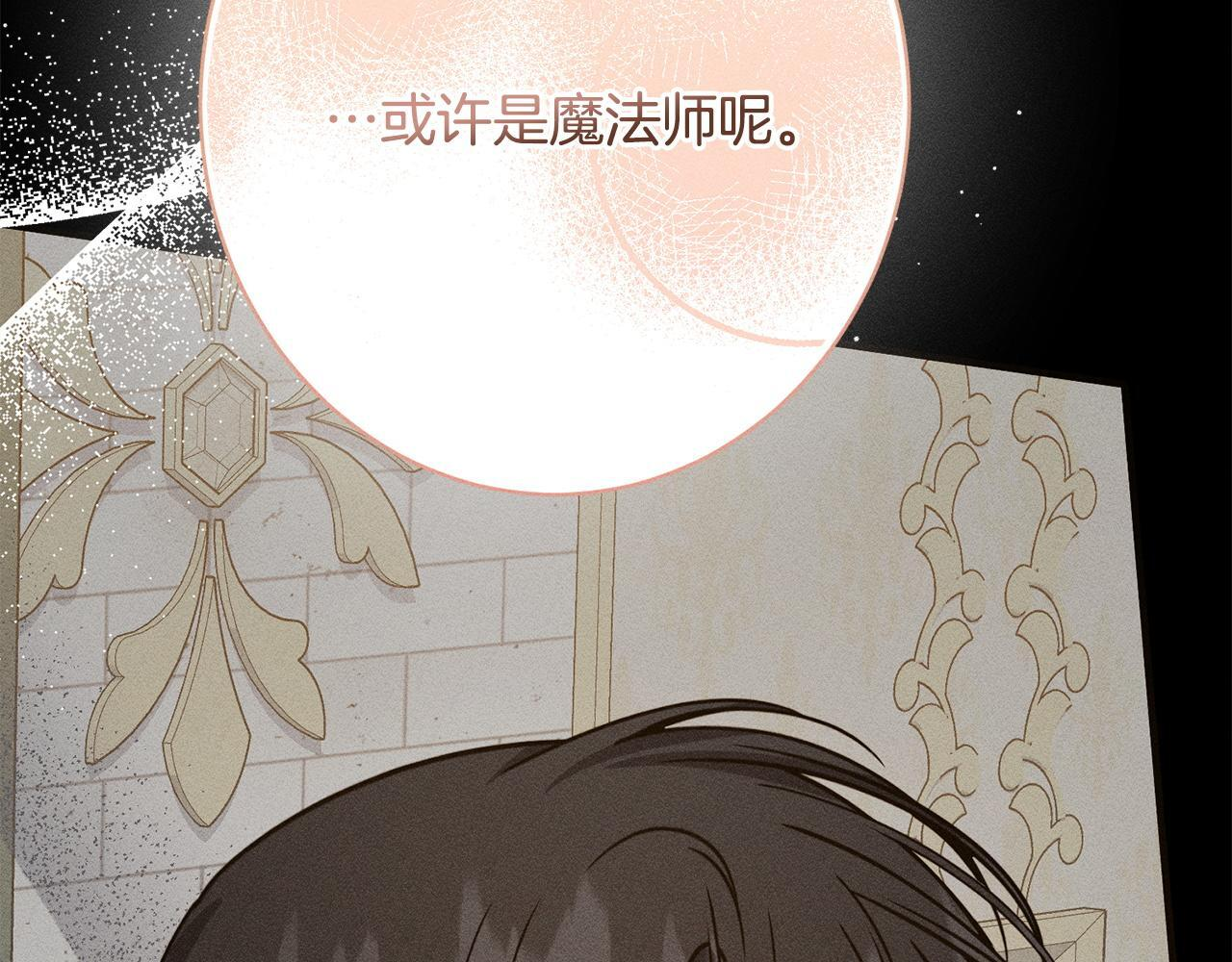 第32话 最后的魔法师 第15页