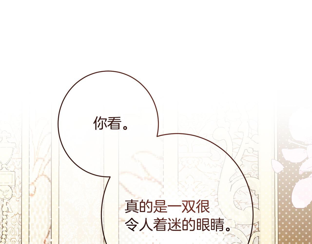 第53话 见到偶像 第193页