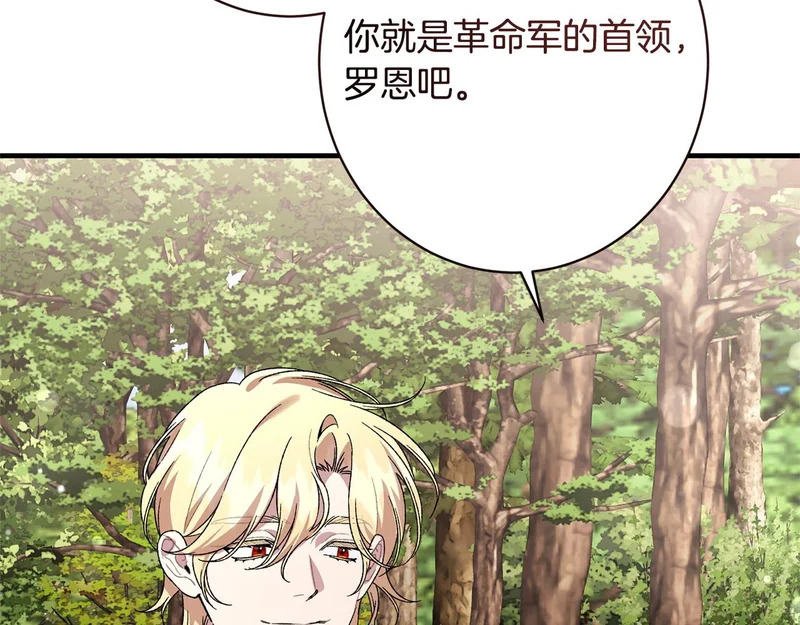 第62话 坚定的选择 第101页