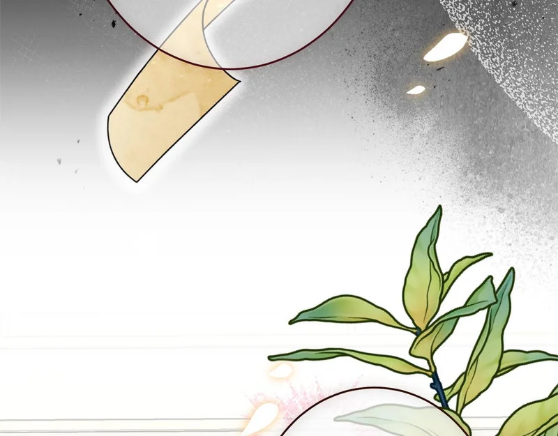 第65话 失忆 第163页