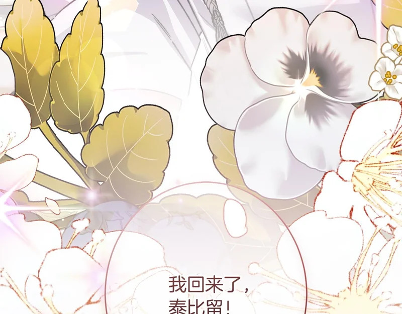 完结篇 遗憾却圆满 第241页