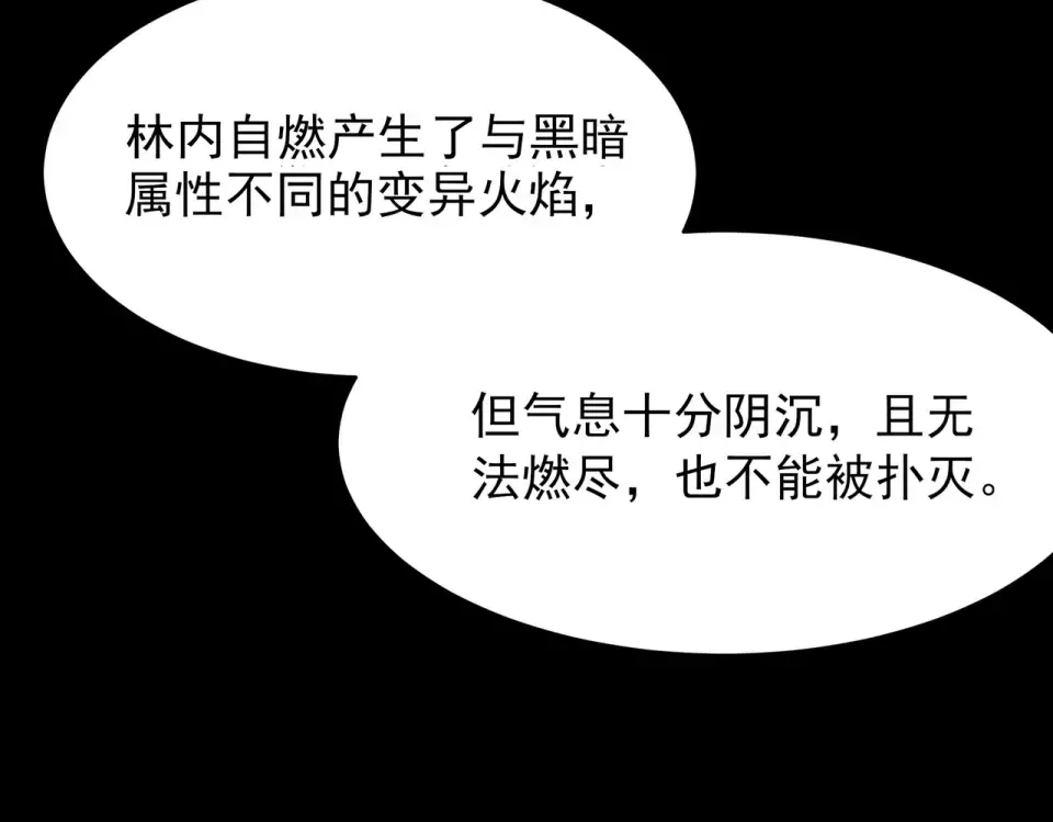 第47话：再破，秘境暮火 第166页