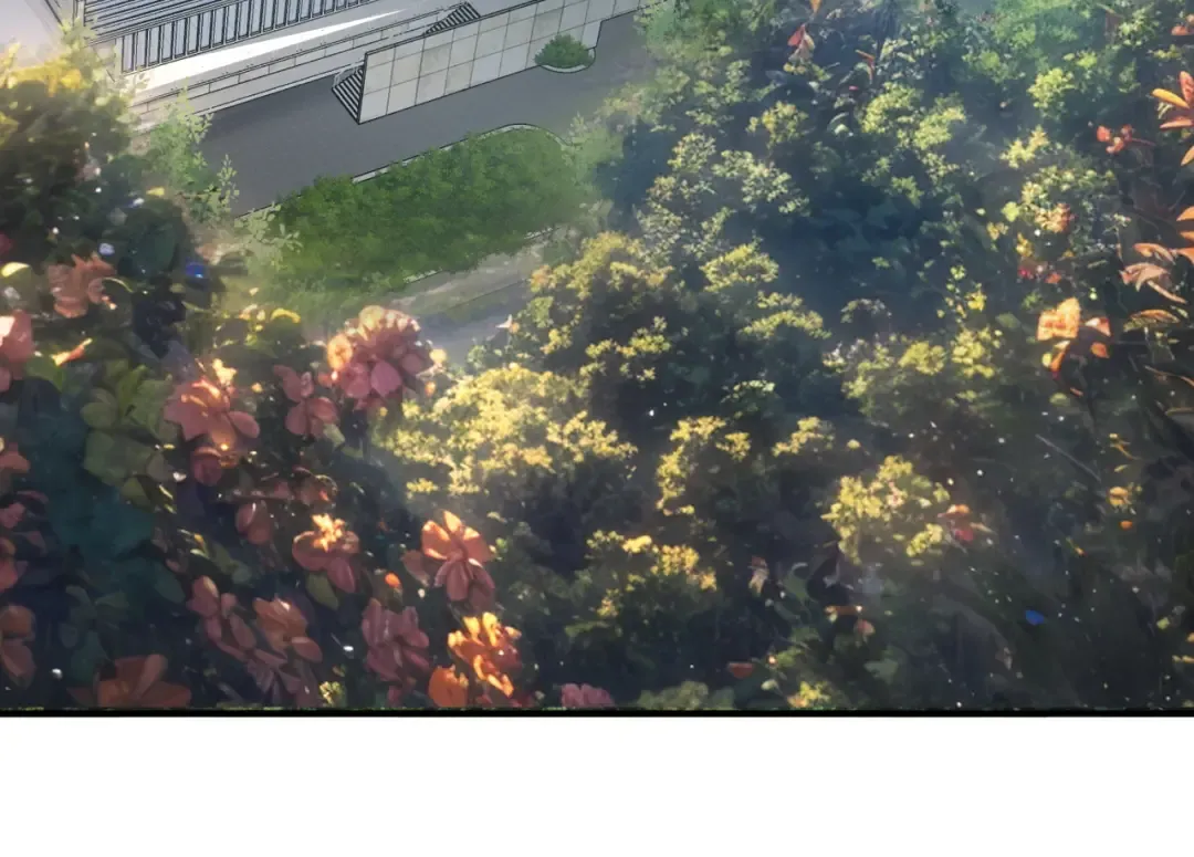 第14话 四大A级技能 第79页