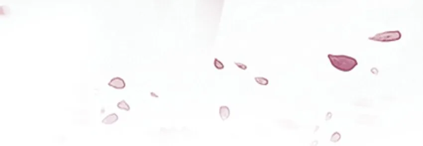 035 舒宁郡主的好意 第52页