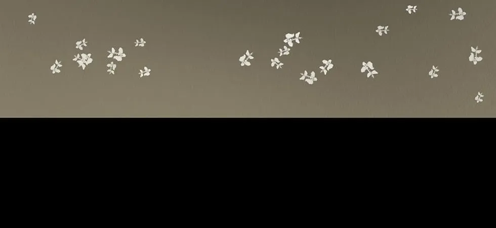 不奈之何 第23页