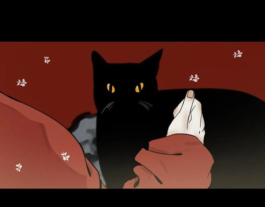 不奈之何 第39页
