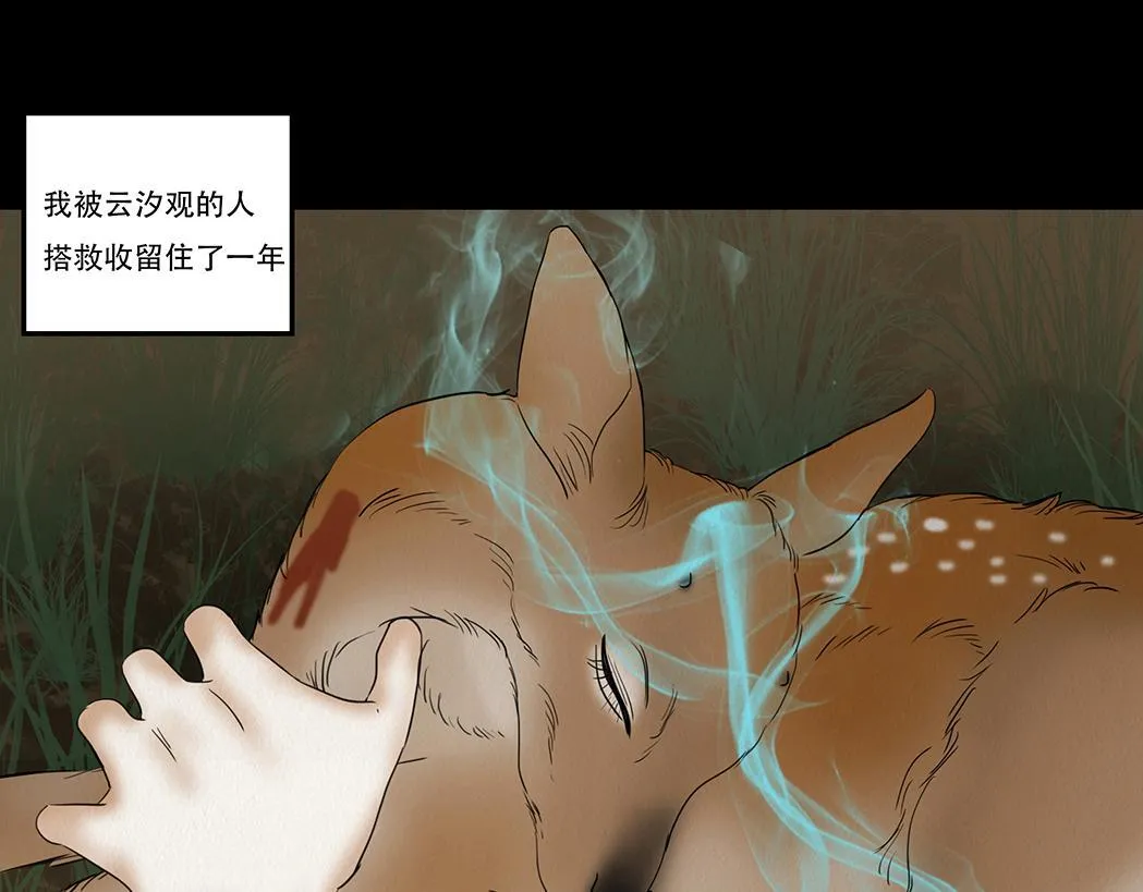 斩权断情 第66页