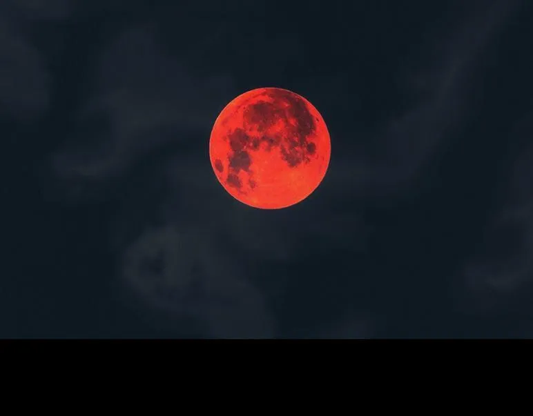 梦魇 第5页