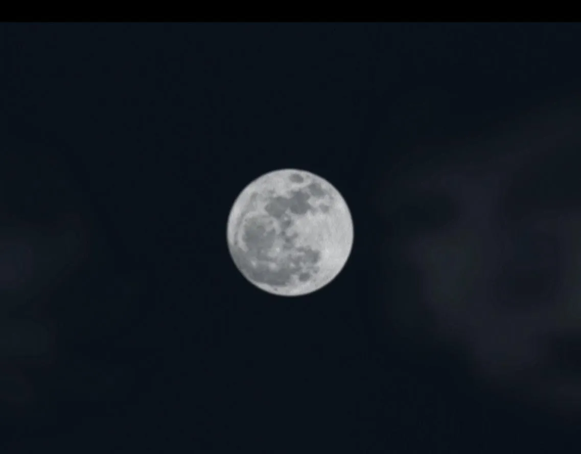 多事之秋 第19页