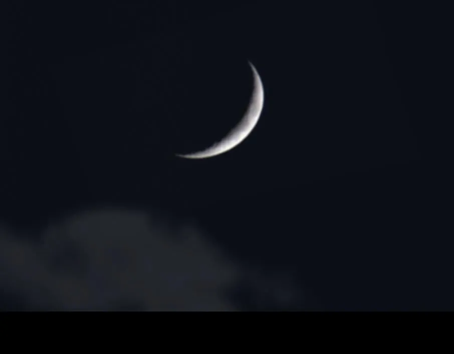 心中所愿 第5页