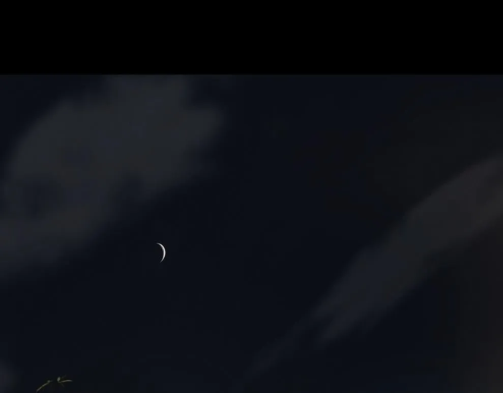 心中所愿 第21页