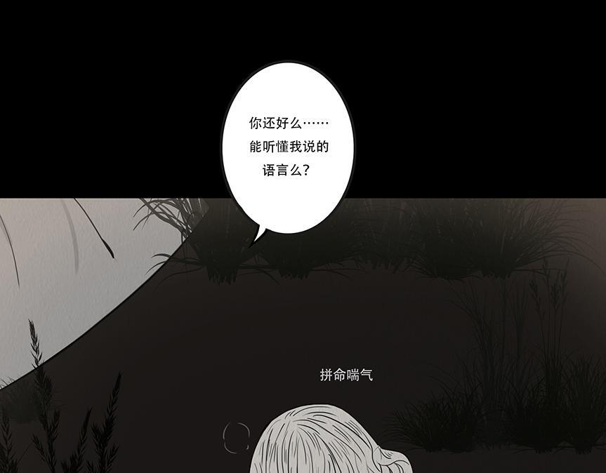 给予重生 第37页