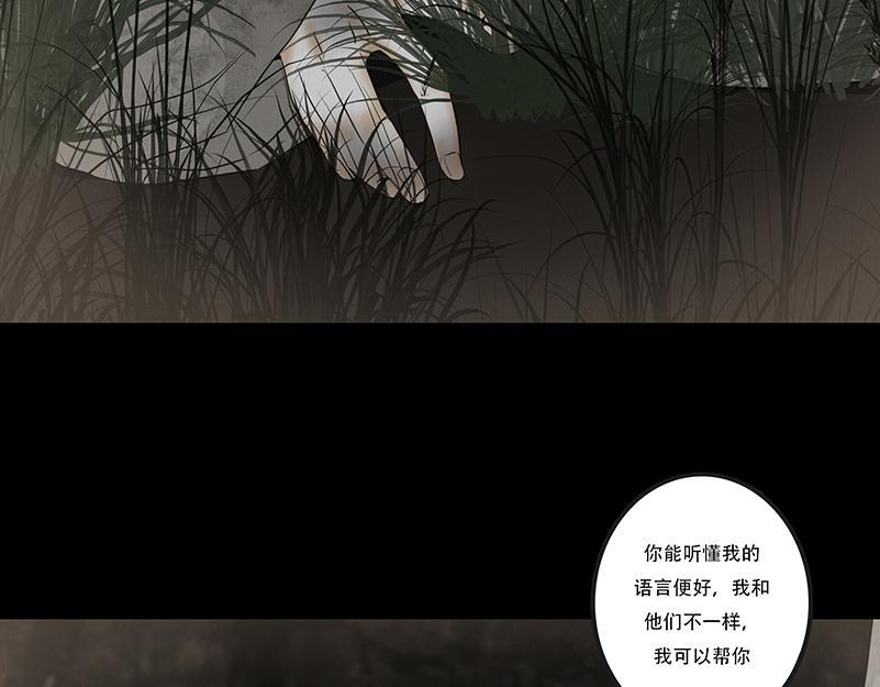 给予重生 第44页