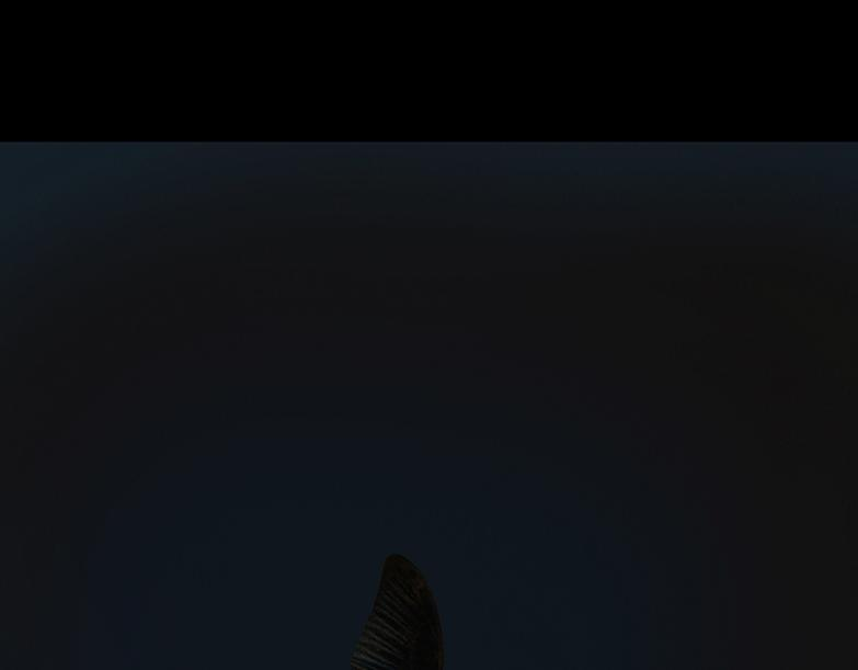 恶鬼低语 第15页