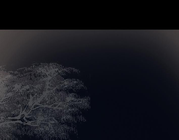 至暗蚀月 第78页