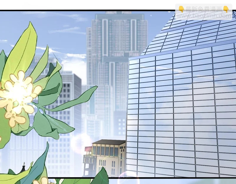 第36话 共度春宵 第66页