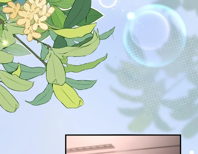 第36话 共度春宵 第67页