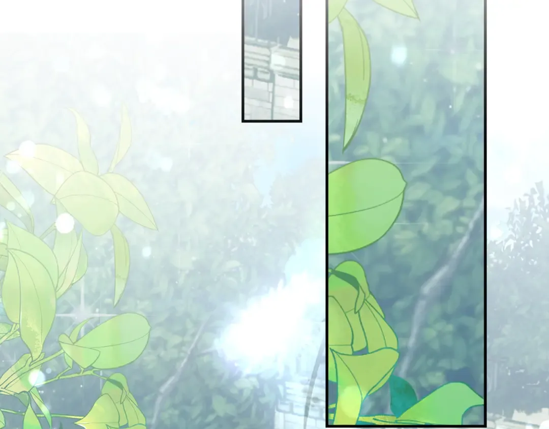 第1话 大气稳重的夫人 第269页