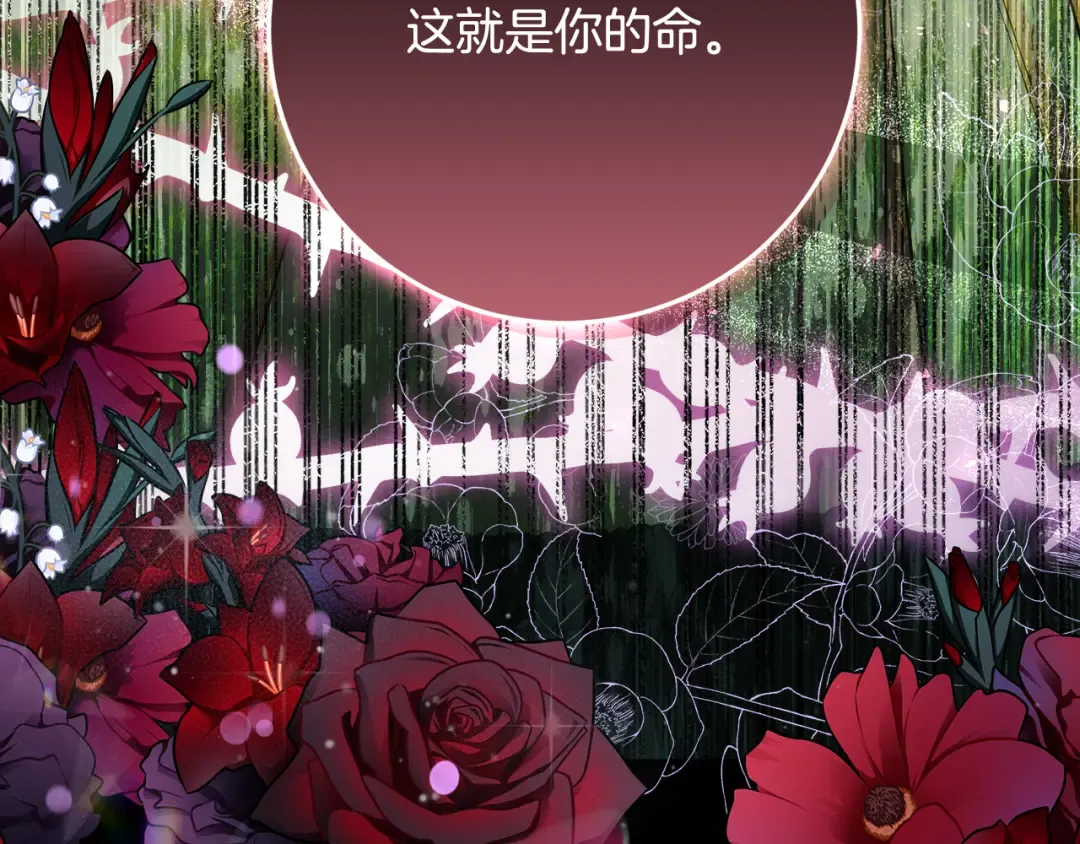 第5话 偶遇商团团主 第222页