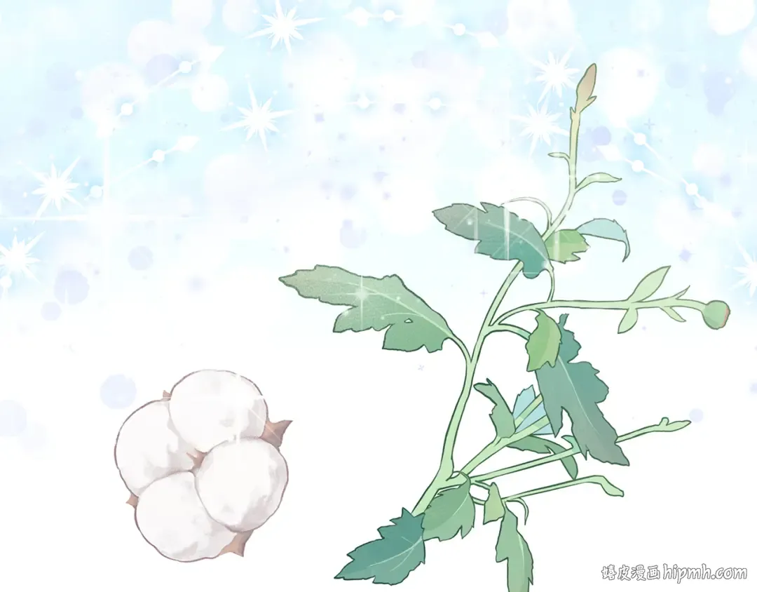 第6话 苦涩的精灵草 第216页