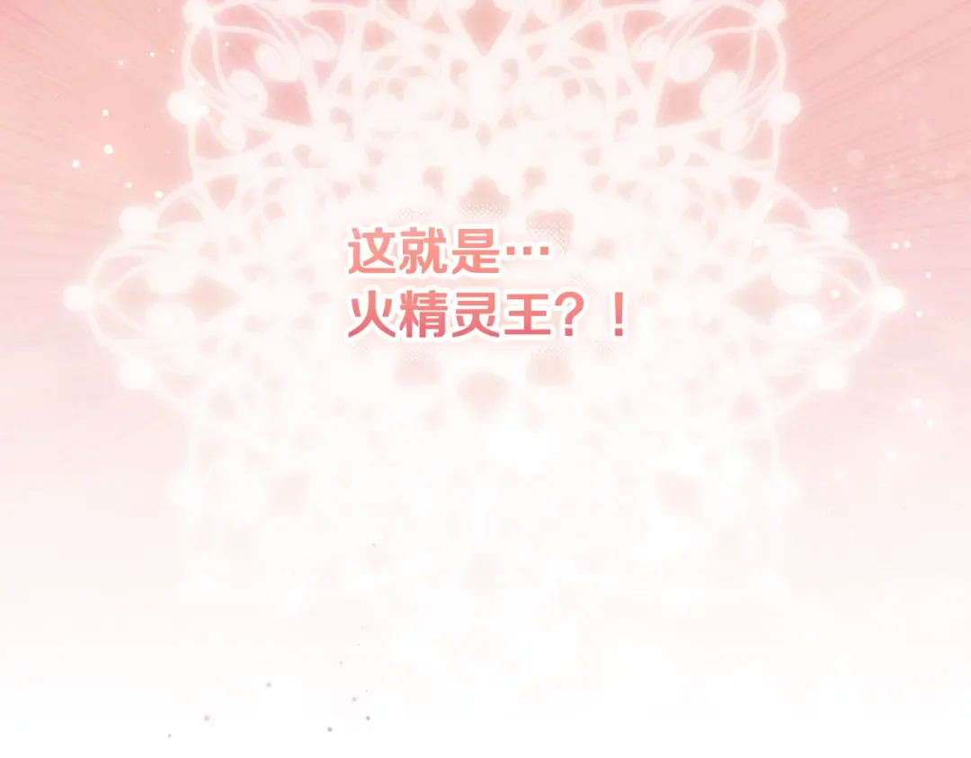 第15话 签约火精灵王 第218页
