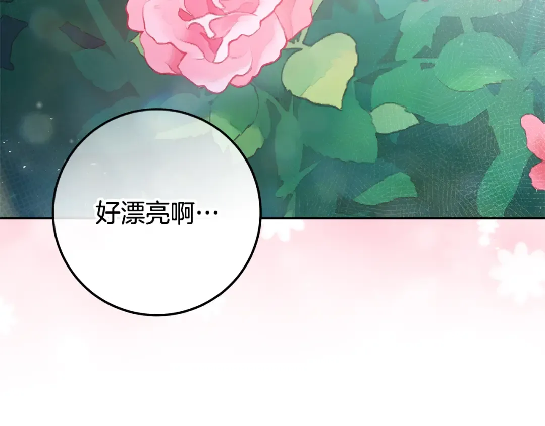 第26话 霸道护妻 第147页