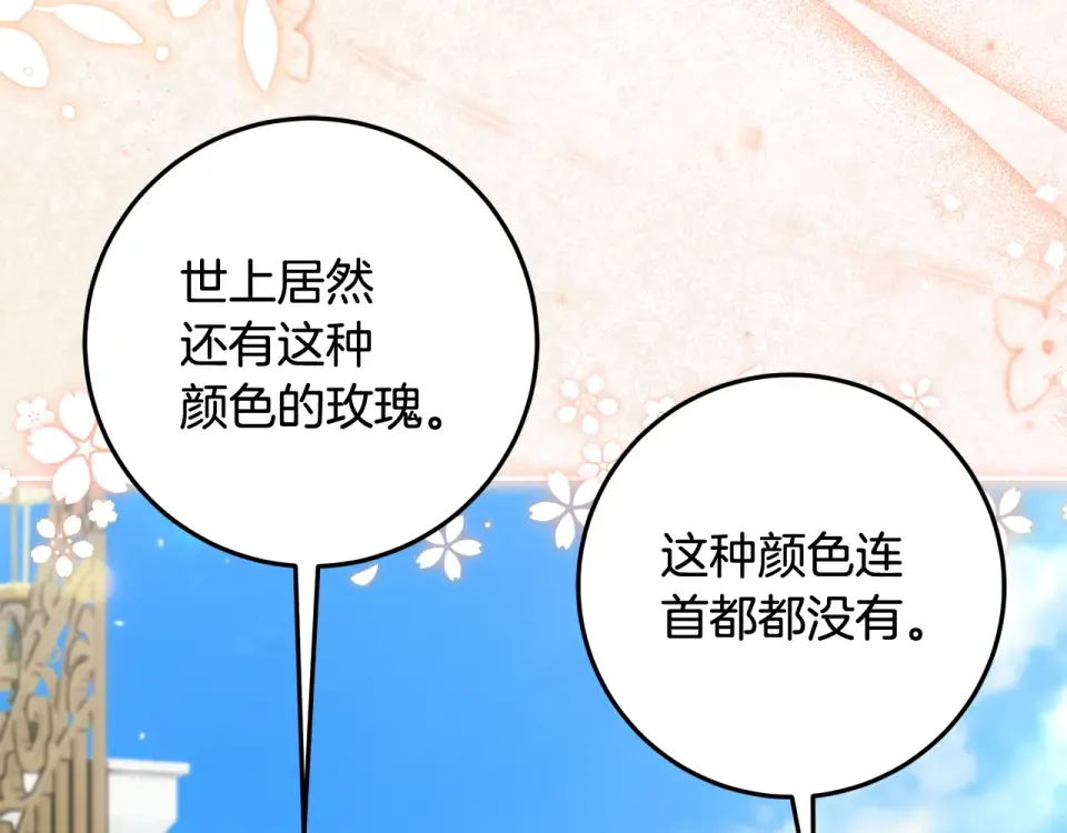 第33话 玫瑰花纷争 第41页