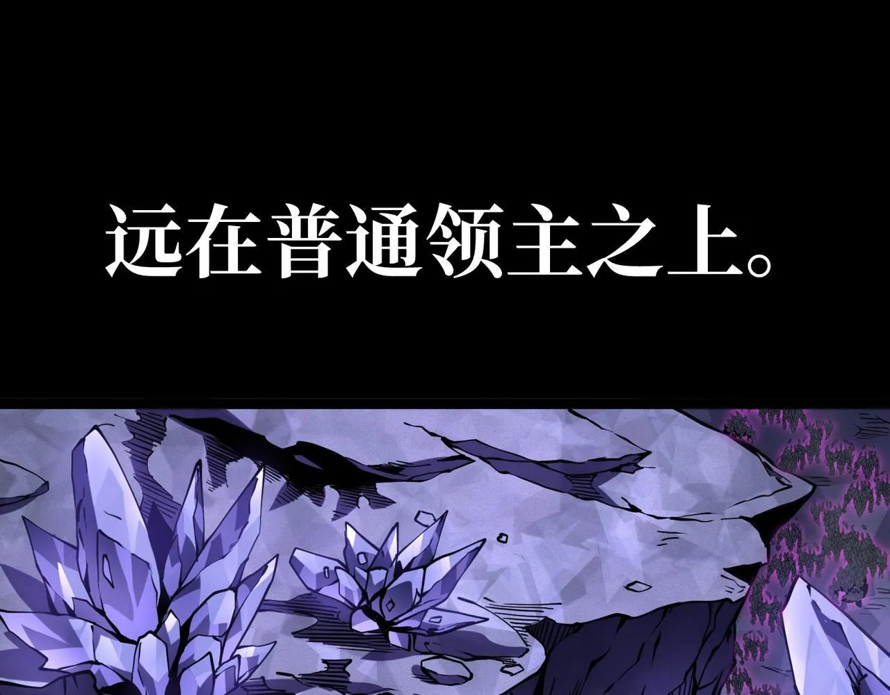 游荡领主 第12页