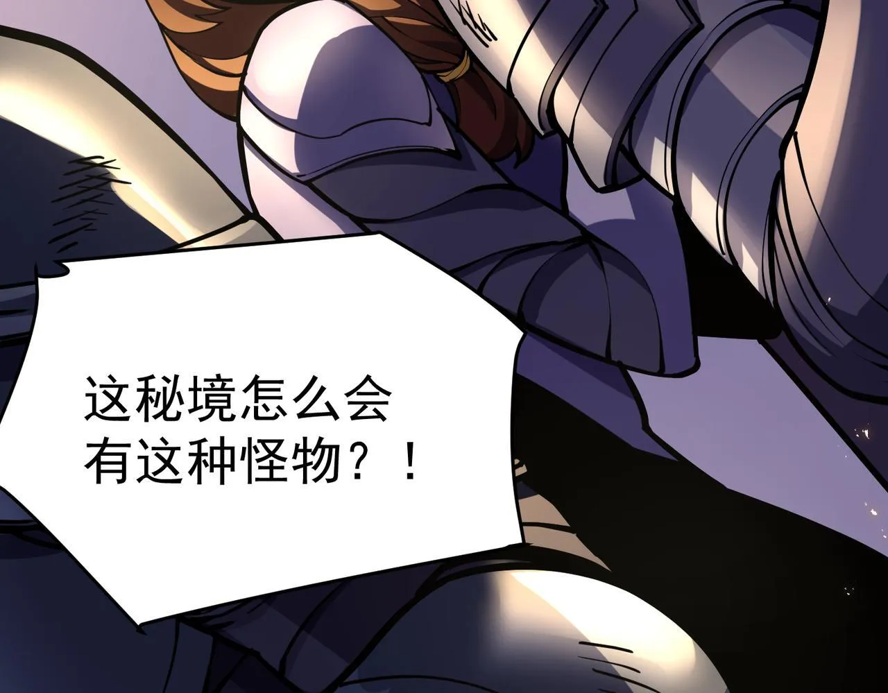 游荡领主 第19页