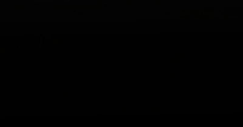 缺陷 第171页